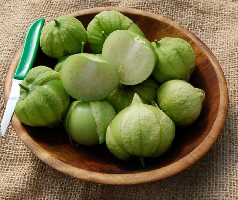 Tomatillo Toma Verde - Különleges padlizsánok az Egzotikus Növények Stúdiója kínálatából